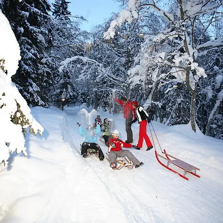 Panoramahotel Burgeck 4*